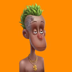 NFToker #5873