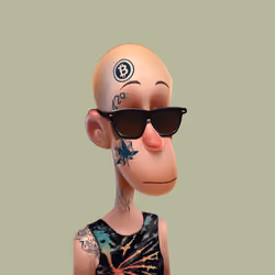 NFToker #2623