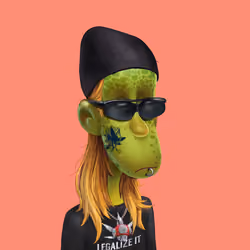 NFToker #2817