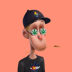 NFToker #4338