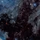 1000632