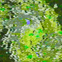 ∱∛∑∅∐∛≩⅁⌡⫲⩖ⅎℍ▶ #1000712