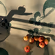 Harvest