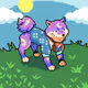 17