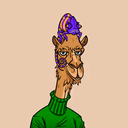 31