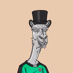 104