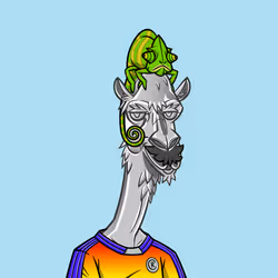 71