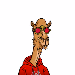Camel #113