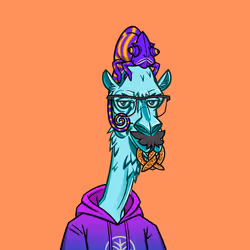 54