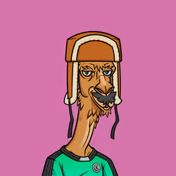 53