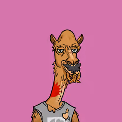 Camel #99