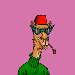 80