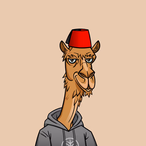 Camel #5