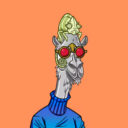 41