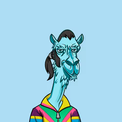 49