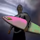 291