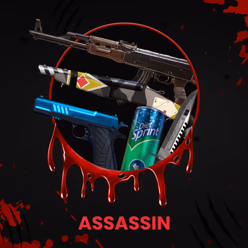 ASSASSIN #308