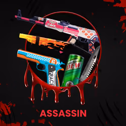 ASSASSIN #1673