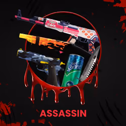 ASSASSIN #2329