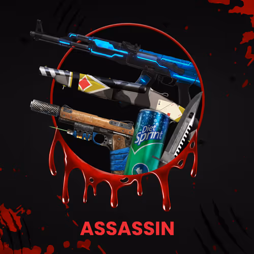 ASSASSIN #1381
