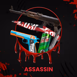 ASSASSIN #493