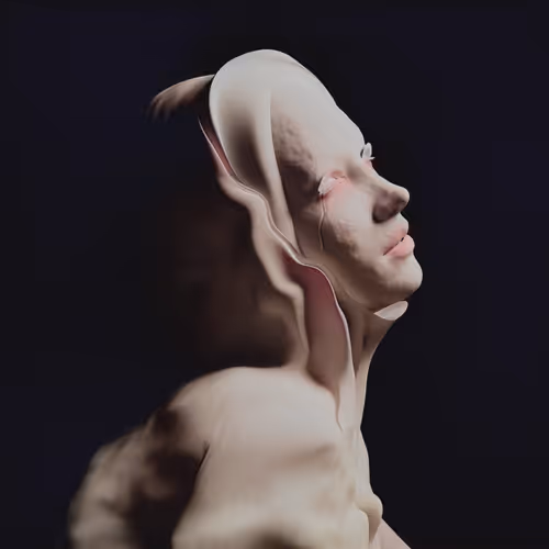 Stettero Immoti