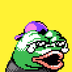 Px Pepe #309