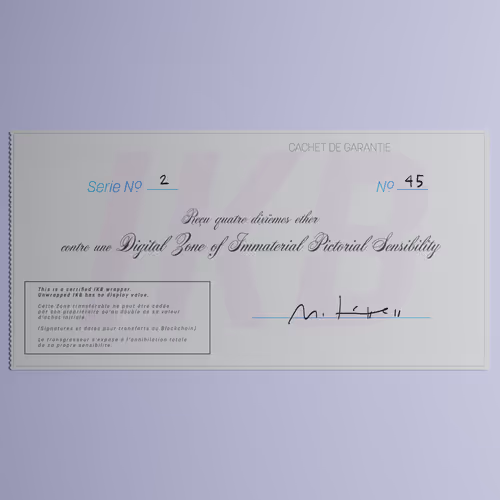 Digital Zone of Immaterial Pictorial Sensibility, Series 2, Edition 45. (Wrapped)