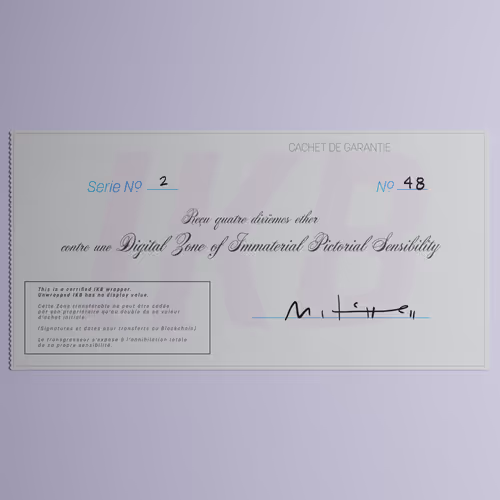 Digital Zone of Immaterial Pictorial Sensibility, Series 2, Edition 48. (Wrapped)