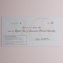 Digital Zone of Immaterial Pictorial Sensibility, Series 4, Edition 65. (Wrapped)