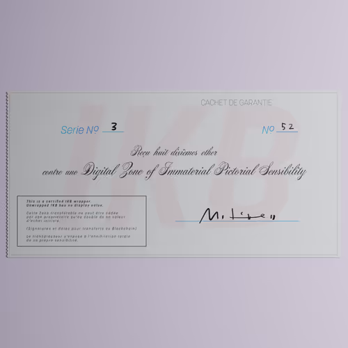 Digital Zone of Immaterial Pictorial Sensibility, Series 3, Edition 52. (Wrapped)