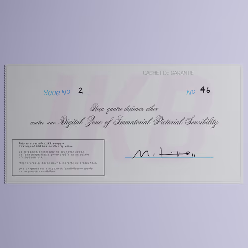 Digital Zone of Immaterial Pictorial Sensibility, Series 2, Edition 46. (Wrapped)