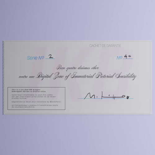 Digital Zone of Immaterial Pictorial Sensibility, Series 2, Edition 44. (Wrapped)
