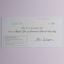 Digital Zone of Immaterial Pictorial Sensibility, Series 5, Edition 76. (Wrapped)