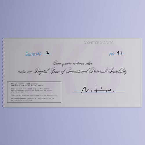 Digital Zone of Immaterial Pictorial Sensibility, Series 2, Edition 41. (Wrapped)