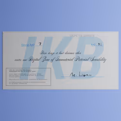 Digital Zone of Immaterial Pictorial Sensibility, Series 7, Edition 91. (Wrapped)