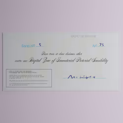 Digital Zone of Immaterial Pictorial Sensibility, Series 5, Edition 75. (Wrapped)