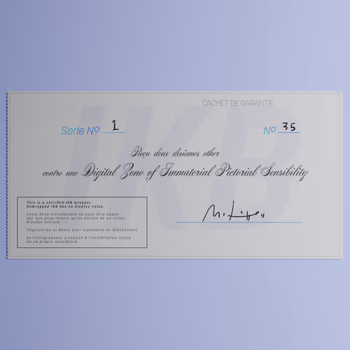 Digital Zone of Immaterial Pictorial Sensibility, Series 1, Edition 35. (Wrapped)