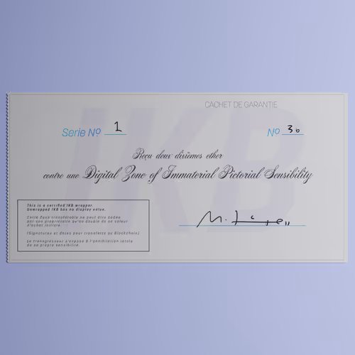 Digital Zone of Immaterial Pictorial Sensibility, Series 1, Edition 36. (Wrapped)