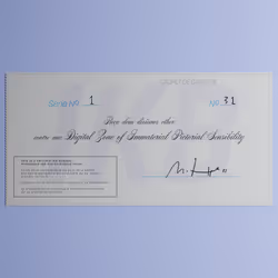 Digital Zone of Immaterial Pictorial Sensibility, Series 1, Edition 31. (Wrapped)