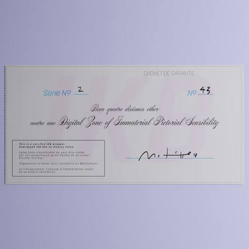 Digital Zone of Immaterial Pictorial Sensibility, Series 2, Edition 43. (Wrapped)
