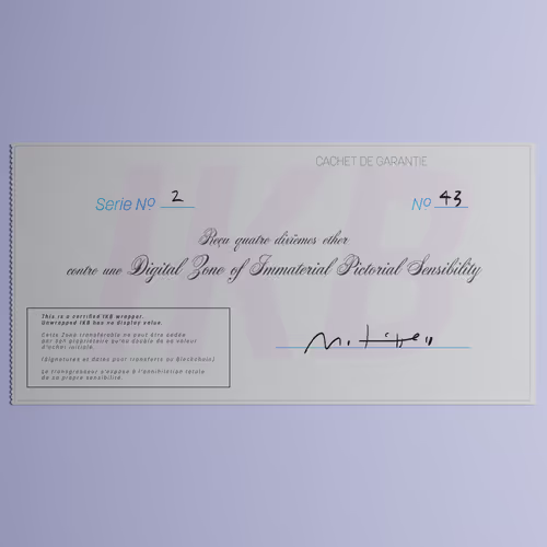 Digital Zone of Immaterial Pictorial Sensibility, Series 2, Edition 43. (Wrapped)