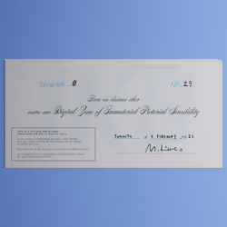 Digital Zone of Immaterial Pictorial Sensibility, Series 0, Edition 29. (Wrapped)