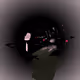 262