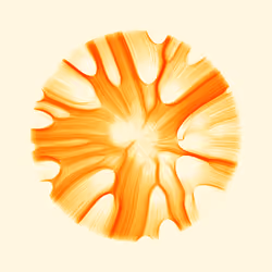 251
