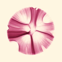 185