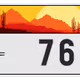 1251