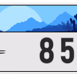 Plate #857
