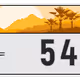 3273