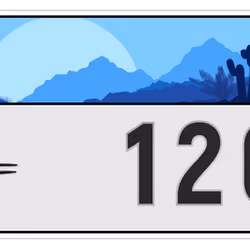 Plate #254